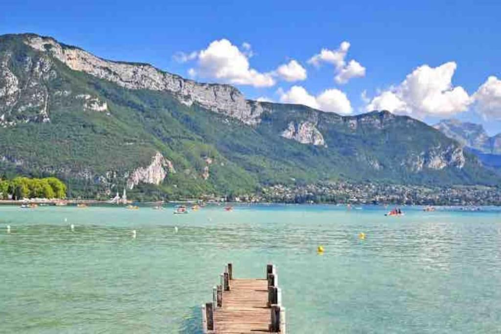 La Perle Du Thiou - Charmant T3 Au Centre D'Annecy Avec Parking Prive Exterior photo